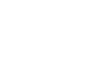 Tamlite-Logo-Main-white-high-res