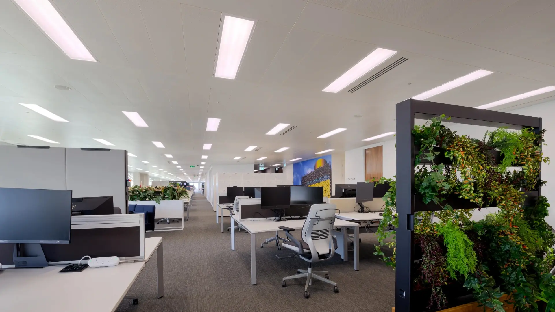 LED Lighting For Workplaces. An open office space it lit overhead by bright LED ceiling lights.