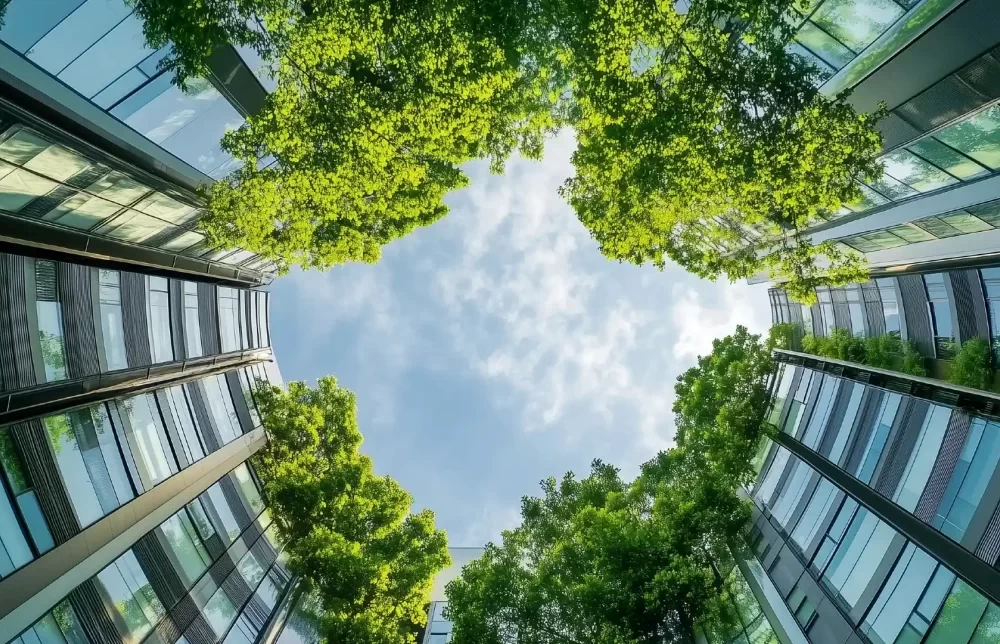 Tree's and buildings through a fisheye lens