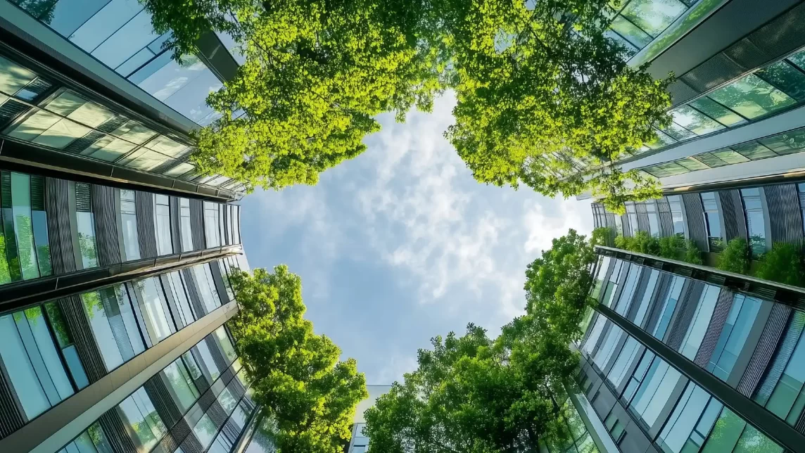 Tree's and buildings through a fisheye lens