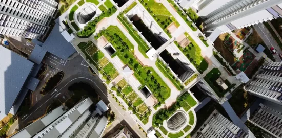 Green rooftop garden