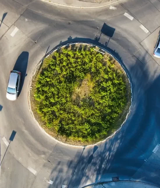 A circular roundabout with plant life growing on it