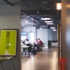 reach net zero